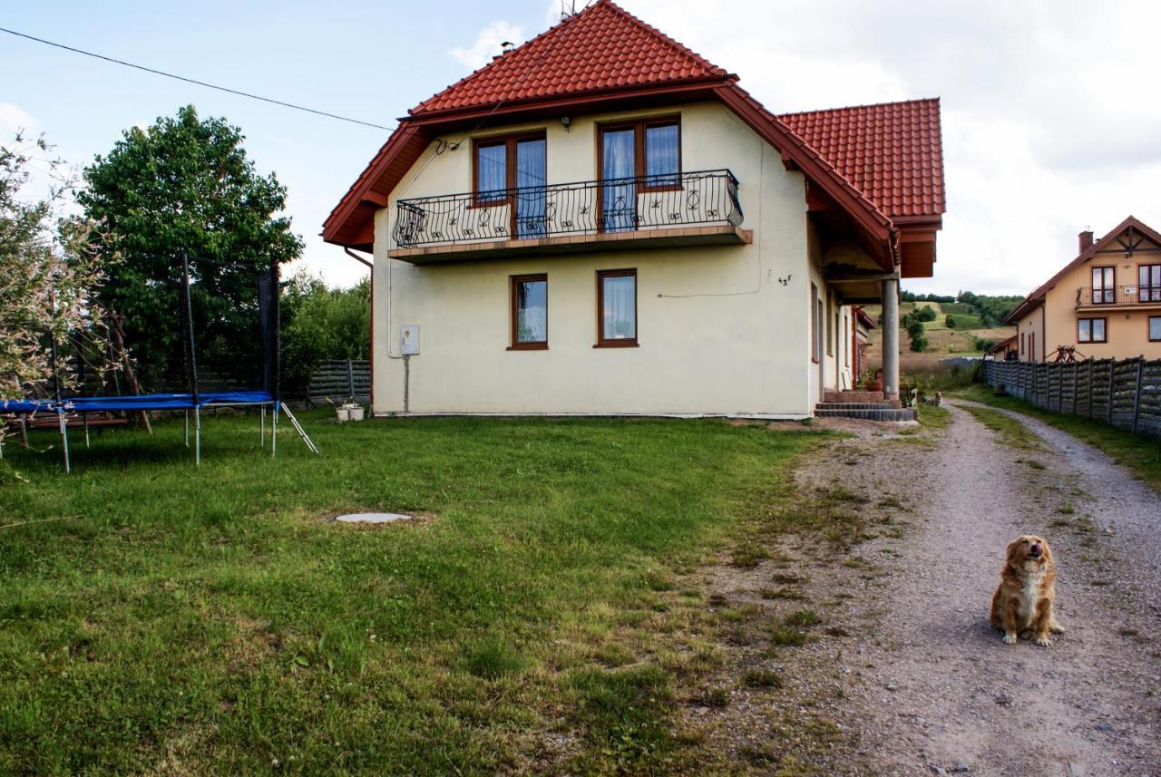 Agroturystyka U Aleksa Krajno-Zagorze Kültér fotó